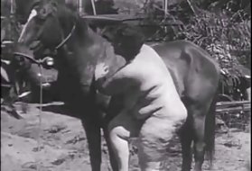 המון פורנו תמונות סקסית לצפות בפורנו בטלפון נייד